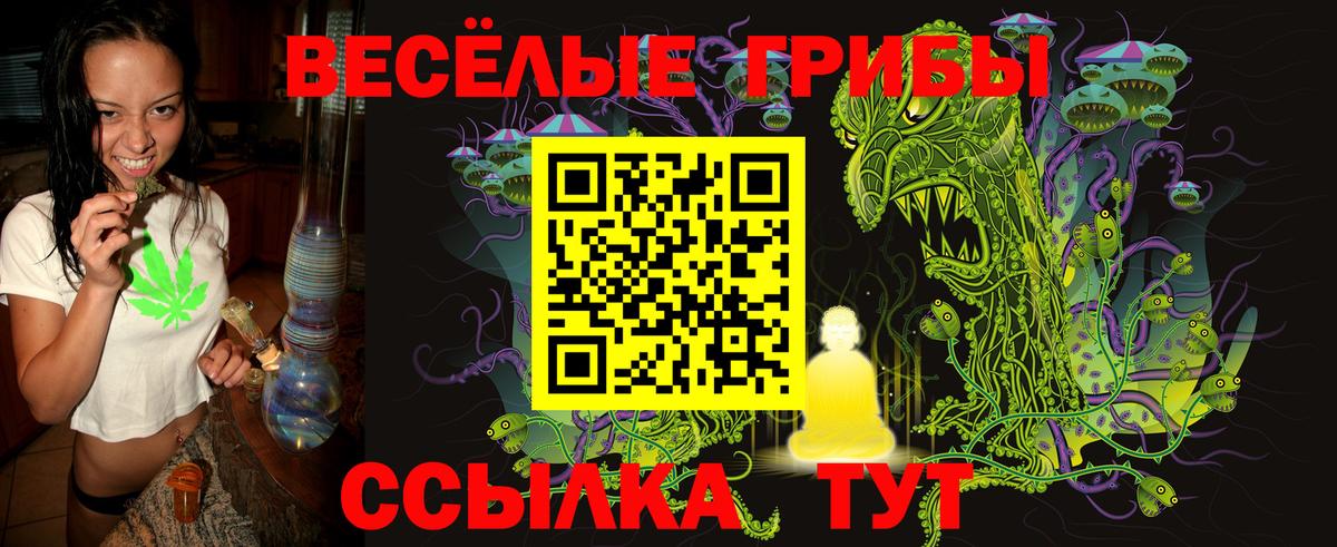 Белебей  Псилоцибиновые грибы мицелий  Вход с VPN 